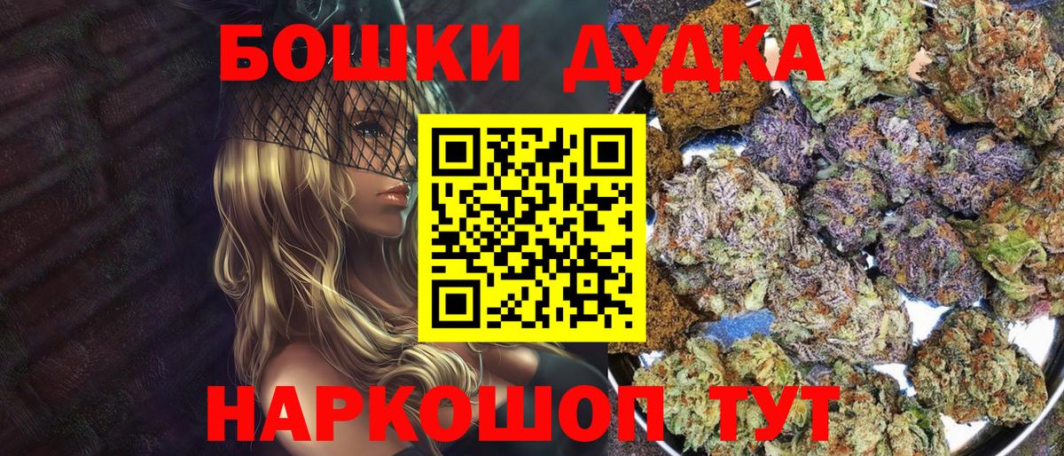Бошки Шишки планчик Людиново